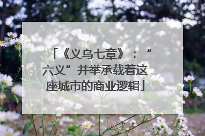 《义乌七章》：“六义”并举承载着这座城市的商业逻辑