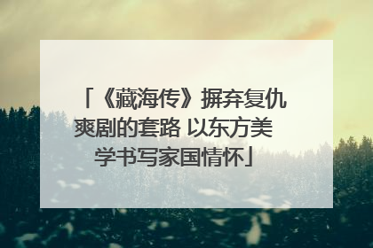 《藏海传》摒弃复仇爽剧的套路 以东方美学书写家国情怀
