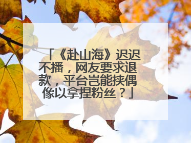 《赴山海》迟迟不播，网友要求退款，平台岂能挟偶像以拿捏粉丝？