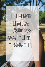 「甘快看」甘肃民勤：戈壁沙乡孕育“甘味”领头羊