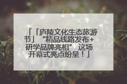 「庐陵文化生态旅游节」“精品线路发布+研学品牌亮相” 这场开幕式亮点纷呈！