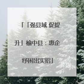 「强县域 促提升」榆中县：惠企纾困出实招