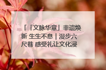 「文脉华章」非遗焕新 生生不息｜漫步六尺巷 感受礼让文化浸润的“巷”往生活