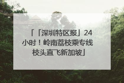 「深圳特区报」24小时！岭南荔枝乘专线 枝头直飞新加坡