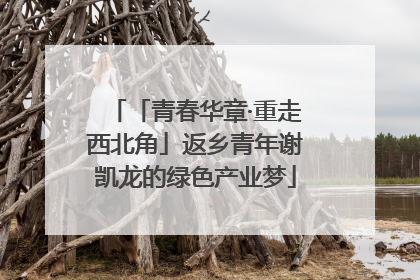 「青春华章·重走西北角」返乡青年谢凯龙的绿色产业梦