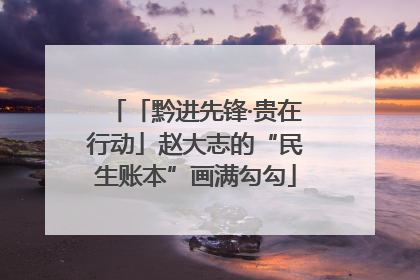 「黔进先锋·贵在行动」赵大志的“民生账本”画满勾勾