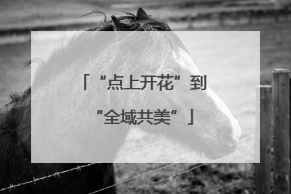 “点上开花”到“全域共美”