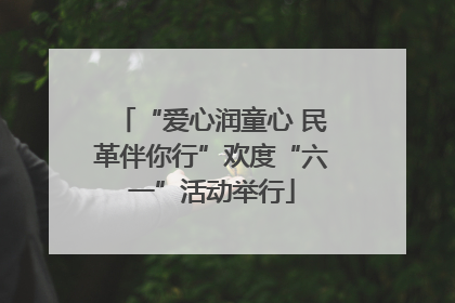 “爱心润童心 民革伴你行”欢度“六一”活动举行