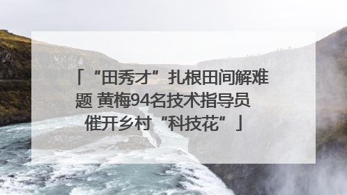 “田秀才”扎根田间解难题 黄梅94名技术指导员催开乡村“科技花”