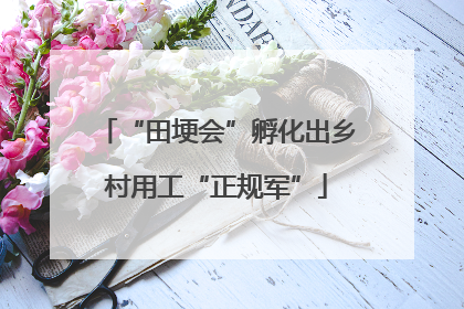 “田埂会”孵化出乡村用工“正规军”
