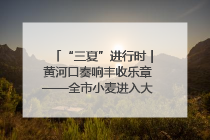 “三夏”进行时｜黄河口奏响丰收乐章——全市小麦进入大面积收获高峰期