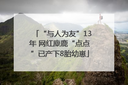 “与人为友”13年 网红麋鹿“点点”已产下8胎幼崽