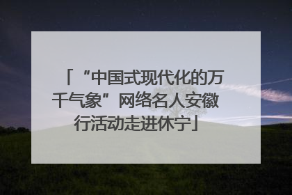 “中国式现代化的万千气象”网络名人安徽行活动走进休宁