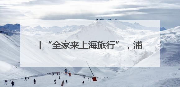 “全家来上海旅行”，浦东机场口岸迎来沙特、科威特首批免签入境旅客