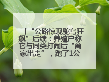 “公路惊现鸵鸟狂飙”后续：养殖户称它与同类打闹后“离家出走”，跑了1公里被找回