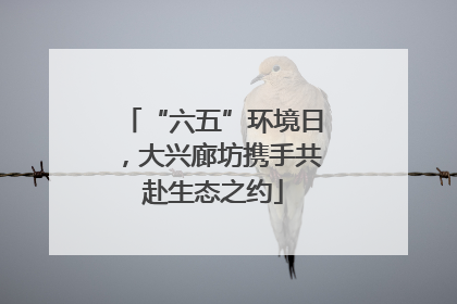 “六五”环境日，大兴廊坊携手共赴生态之约