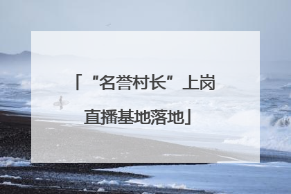 “名誉村长”上岗 直播基地落地