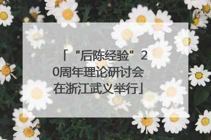 “后陈经验”20周年理论研讨会在浙江武义举行
