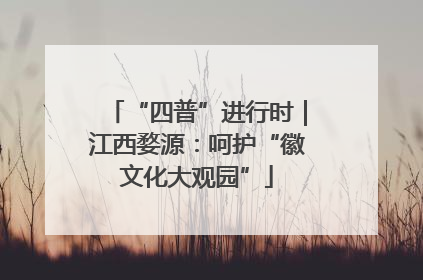 “四普”进行时｜江西婺源：呵护“徽文化大观园”