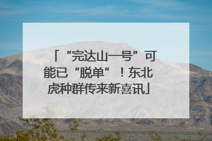“完达山一号”可能已“脱单”！东北虎种群传来新喜讯