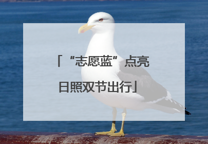 “志愿蓝”点亮日照双节出行