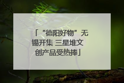 “德阳好物”无锡开集 三星堆文创产品受热捧