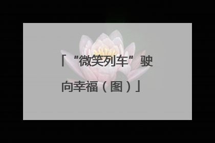 “微笑列车”驶向幸福（图）