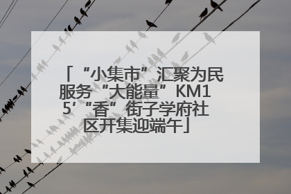 “小集市”汇聚为民服务“大能量”KM15′“香”街子学府社区开集迎端午