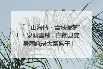 “山海情・雪域援梦”⑪：泉润雪域，白朗县变身西藏最大菜篮子