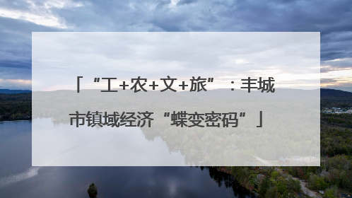 “工+农+文+旅”：丰城市镇域经济“蝶变密码”