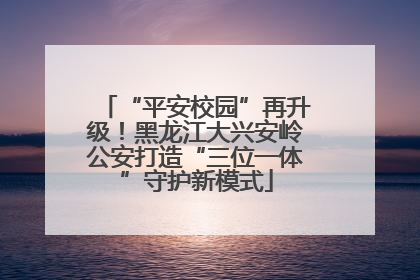 “平安校园”再升级！黑龙江大兴安岭公安打造“三位一体”守护新模式