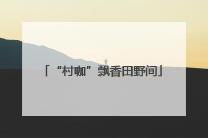 “村咖”飘香田野间