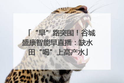 “旱”路突围！谷城盛康智能旱直播：缺水田“喝”上高产水