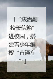 “法治副校长信箱”进校园，搭建青少年维权“直通车”
