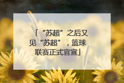 “苏超”之后又见“苏超”，篮球联赛正式官宣