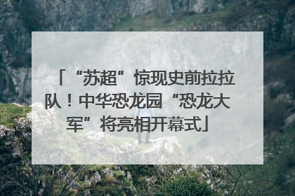 “苏超”惊现史前拉拉队！中华恐龙园“恐龙大军”将亮相开幕式