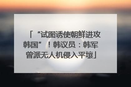 “试图诱使朝鲜进攻韩国”！韩议员：韩军曾派无人机侵入平壤