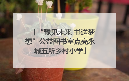 “豫见未来 书送梦想”公益图书室点亮永城五所乡村小学