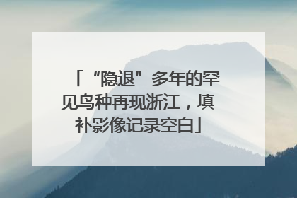 “隐退”多年的罕见鸟种再现浙江，填补影像记录空白