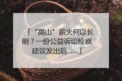 “高山”薪火何以长明？一份公益诉讼检察建议发出后……