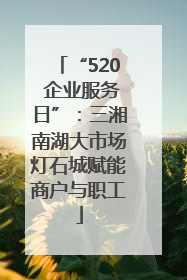 “520 企业服务日”：三湘南湖大市场灯石城赋能商户与职工