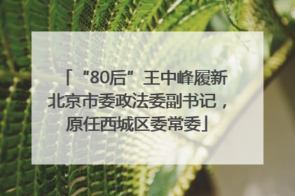 “80后”王中峰履新北京市委政法委副书记，原任西城区委常委