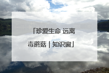 珍爱生命 远离毒蘑菇｜知识窗