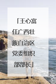 王心富任广西壮族自治区党委组织部部长