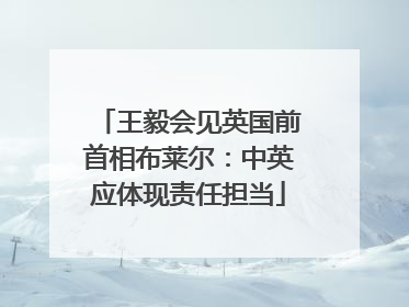 王毅会见英国前首相布莱尔：中英应体现责任担当
