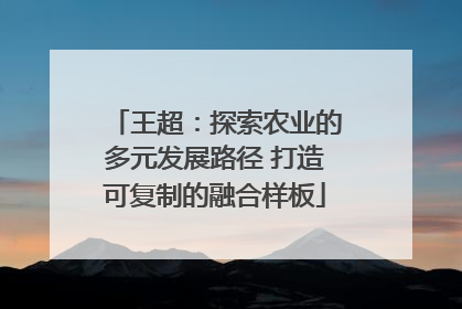 王超：探索农业的多元发展路径 打造可复制的融合样板