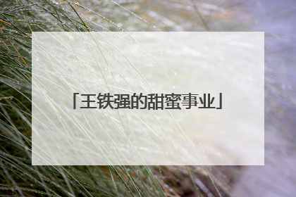 王铁强的甜蜜事业