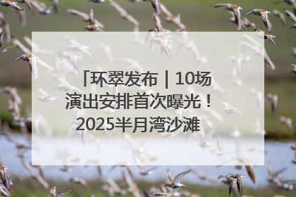 环翠发布｜10场演出安排首次曝光！2025半月湾沙滩音乐节即将举办