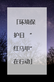 环境保护日 “红马甲”在行动