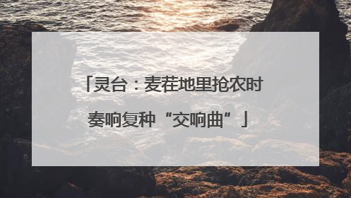 灵台：麦茬地里抢农时 奏响复种“交响曲”